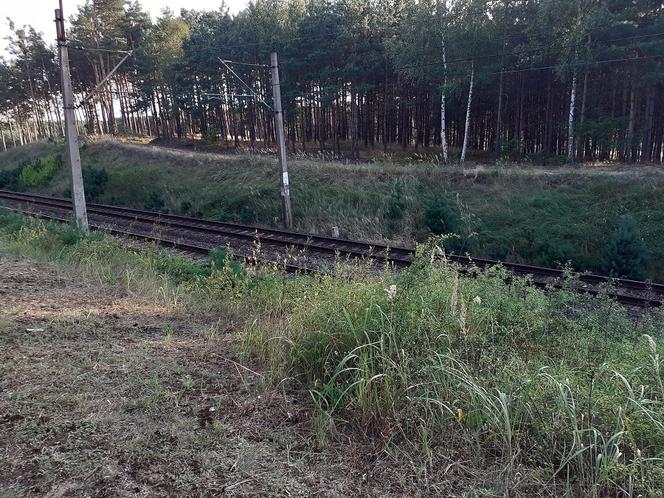 Brzoza Toruńska 40 lat po katastrofie kolejowej