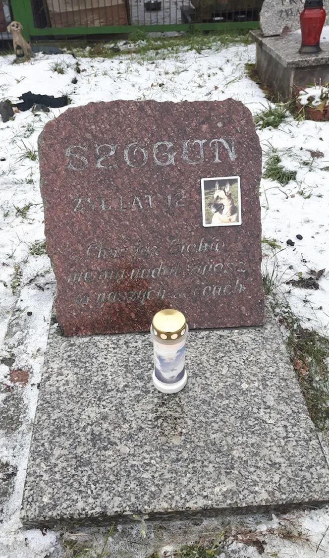 W całym woj. śląskim jest tylko jeden taki cmentarz. Miejsce, gdzie pamięć o pupilu nie umiera