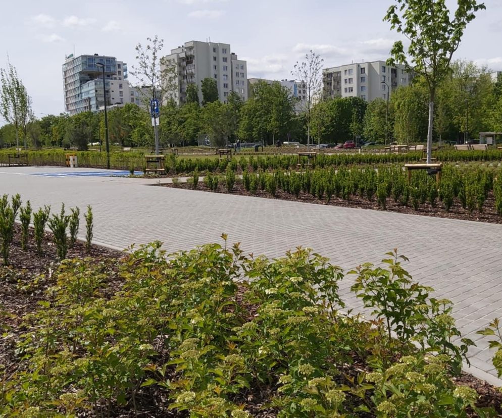 Park nad Południową Obwodnicą Warszawy