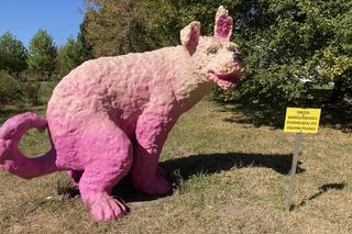 Gigantyczny różowy pies stanął w parku na Ochocie. Urzędnicy wyjaśnili, o co chodzi 