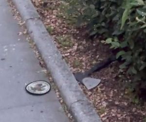 Zabójstwo na kampusie UW. Policja opublikowała wstrząsające nagranie. Pokazali wszystko