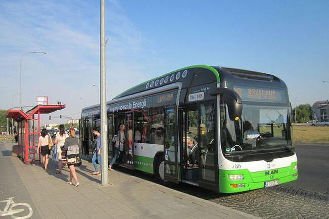 Rozkład jazdy autobusów