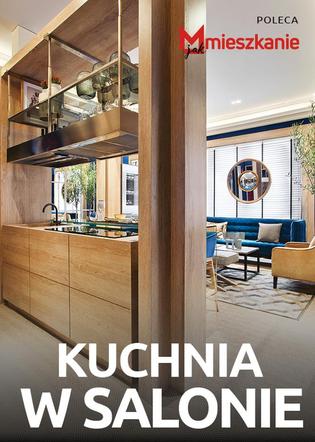 Kuchnia w salonie