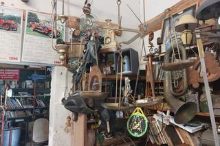 Gniazdo Staroci w Wiśniowej