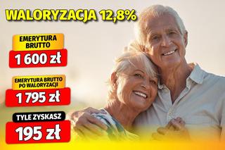 Zwalnia wzrost emerytur. Sprawdź ile dostaniesz w 2024 roku