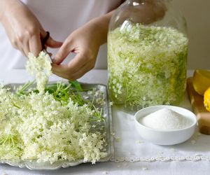 Babcine remedium na grypę, reumatyzm i cukrzycę. Zrób sobie syrop