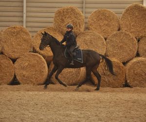 Policyjne konie zdały egzamin!