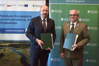 W woj. lubelskim powstanie nowa atrakcja turystyczna. Będzie można chodzić w koronach drzew