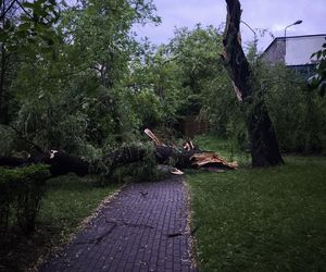 Orkan przechodzi przez województwo śląskie. Gwałtowne burze i ulewny deszcz