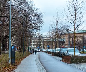 Zielona Marszałkowska między placem Bankowym a ul. Królewską