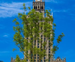 Plac Centralny Warszawa, sierpień 2025