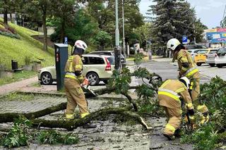 Burze i nawałnice nad Podkarpaciem. Strażacy interweniowali prawie 500 razy [ZDJĘCIA]