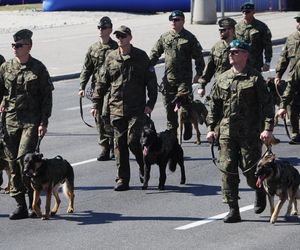 Defilada Wojska Polskiego bez psów. Upały pokrzyżowały plany. Znamy szczegóły