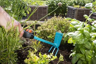 Jak zagospodarować działkę ROD?