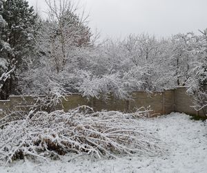 Zima Starachowice 29.11.2020