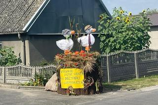 Sprawdź te wyjątkowe dekoracje ze słomy. Wielkopolanie mają talent