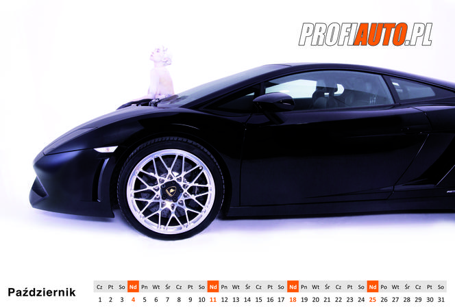 Kalendarz 2015 od ProfiAuto