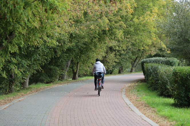 Jesienna odsłona terenów nad Bystrzycą w Lublinie. Tak się prezentuje w październiku