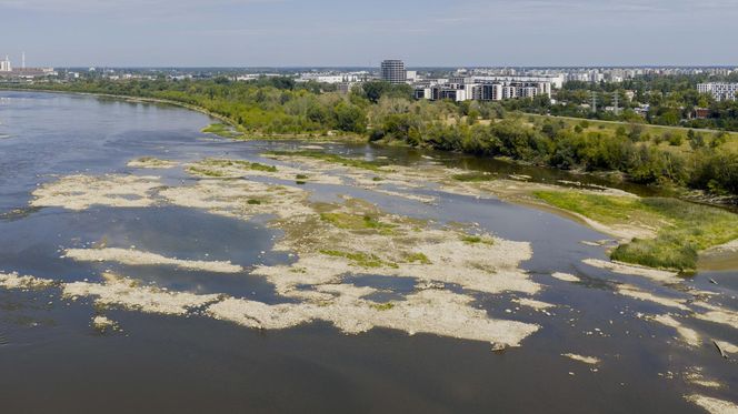 Wisła wysycha. Tak źle nie było nigdy w historii. Zdjęcia z lotu ptaka obrazują skalę suszy