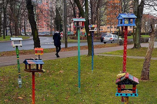 Pierwszy w mieście ĆWIRFOOD