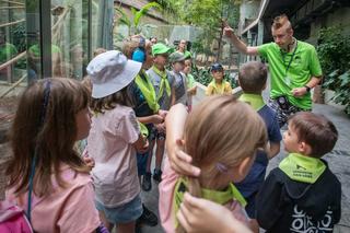 Ruszył nabór na letnie półkolonie w Łodzi. Jak zapisać dziecko?