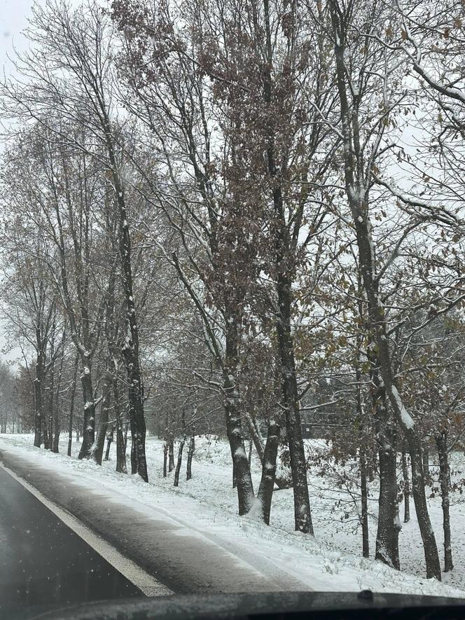 Zima w Warszawie. Zdjęcia od czytelników