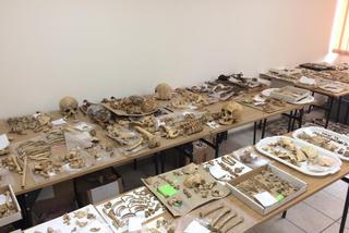 Ludzkie kości w sali Uniwersytetu Rzeszowskiego zaniepokoiły studentów [ZDJĘCIA]
