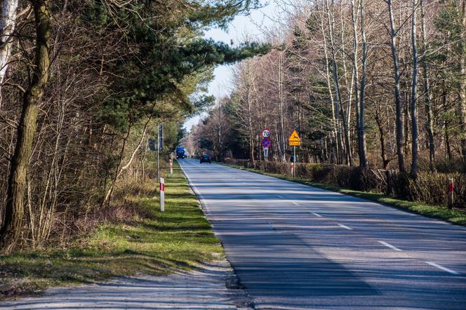 Burmistrz Helu chce zamknąć półwysep przez koronawirusa