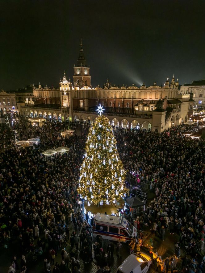 Najpiękniejsza choinka na świecie znajduje się w Polsce! Gdzie ją zobaczyć? 