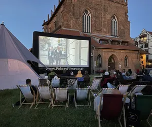 Wieczorne seanse pod gwiazdami. Startuje kino letnie w Galerii El w Elblągu!