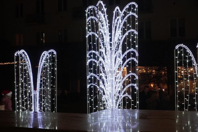 Świąteczne iluminacje 2024 w centrum Kielc