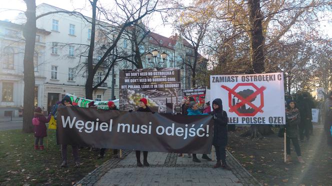 Katowice: Marsz dla klimatu przeszedł ulicami miasta. 3 osoby zostały zatrzymane [ZDJĘCIA]