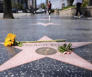 Brian Wilson nie żyje! Odeszła legenda muzyki lat 60