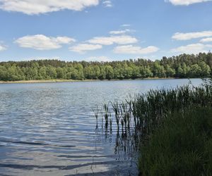 To jezioro w Olsztynie ma niezwykle czystą wodę. Jest kilka dzikich plaż, które świecą pustkami
