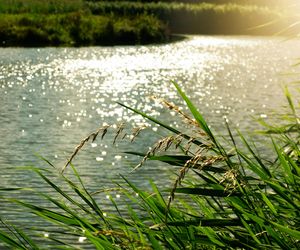 Tu miało być nowe jezioro w woj. lubelskim. Natura zrobiła psikusa