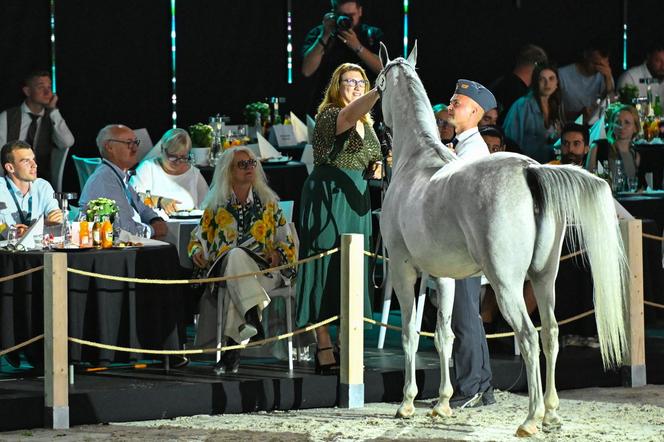 Porażka Pride of Poland 2024? Zyski są zdecydowanie niższe niż rok temu