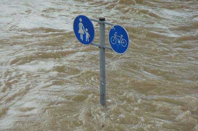 Wisła wyleje?! Instytut Meteorologii i Gospodarki Wodnej wydał ostrzeżenie hydrologiczne drugiego stopnia dla Warszawy.