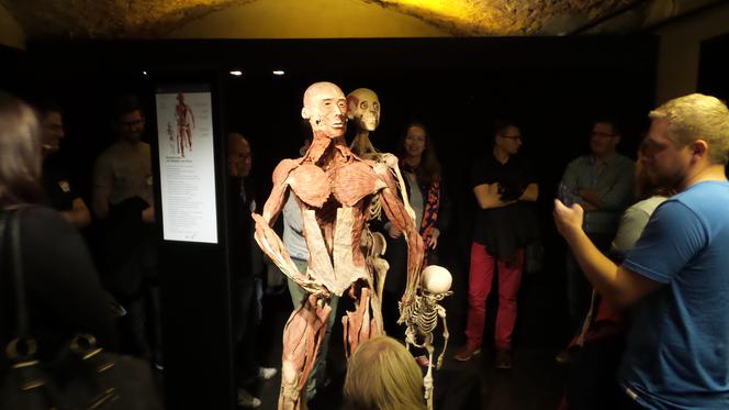 Body Worlds - w Warszawie kolejny raz wystawa wypreparowanych ludzkich ciał [DATA]