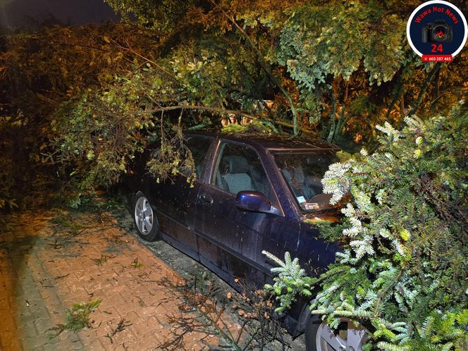 Warszawa zalana po burzy! Gigantyczne szkody na ulicach i posesjach