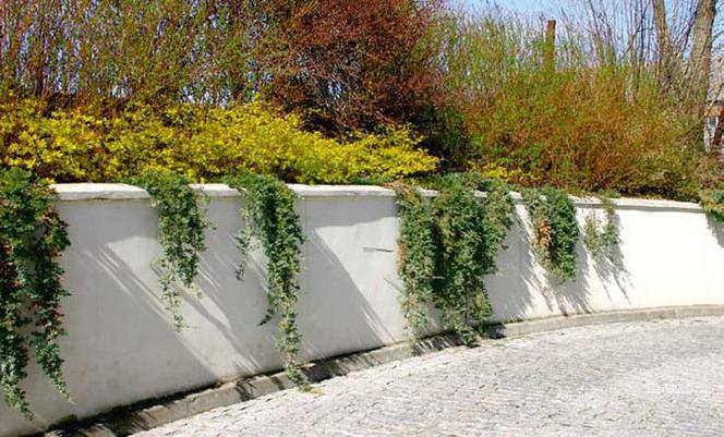 Ścianki ze zbrojonego betonu