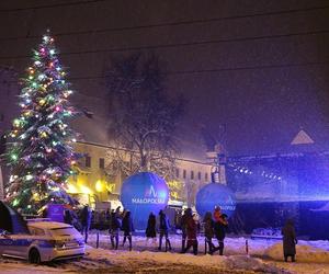 Pani Choinka powraca. 17. Choinka pod Oknem Papieskim