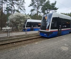 Tak po modernizacji będzie wyglądała pętla tramwajowa w Lesie Gdańskim! 