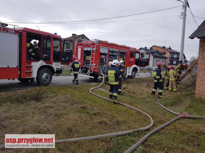 80-latka zginęła w pożarze swojego domu. Jej ciało leżało obok spalonego łóżka 
