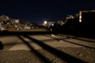 Dramat zwierzęcia na złomowisku. Czy jego śmierć mogła być inna?