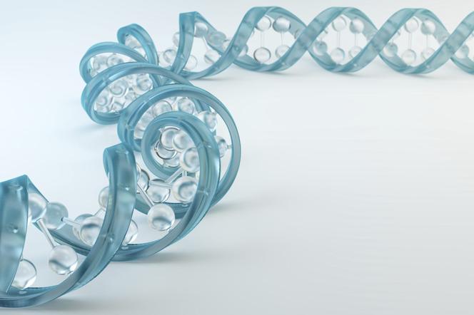 Koniec patentu na BRCA1, BRCA2 i inne geny - amerykański sąd zakazał patentowania DNA