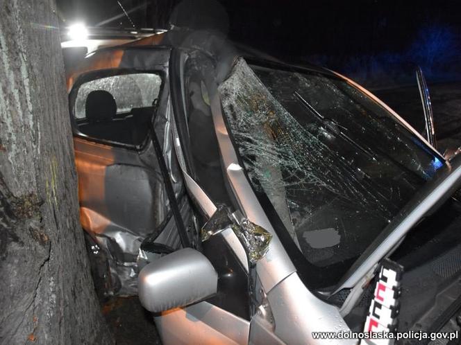 Toyota roztrzaskała się na drzewie, 20-latka nie miała szans
