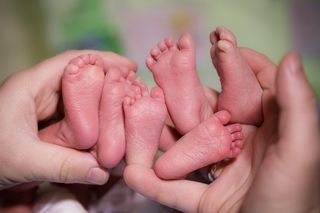 Trzymiesięczne trojaczki poszukują kochającego domu. To będzie na pewno duże wyzwanie