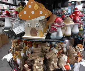 W sklepach w Lesznie już jesień. Poduszki dynie i liście do wazonu