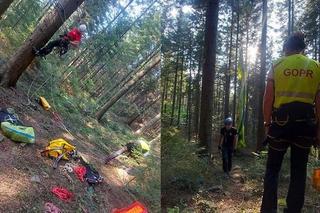 Przez 1,5 godziny wisiała na drzewie i nie mogła zejść. Kobiecie pomogli goprowcy