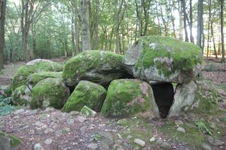 Grobowce megalityczne w Borkowie